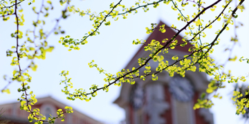 PG���ӡ�������(������Ϸ)�ٷ���վ