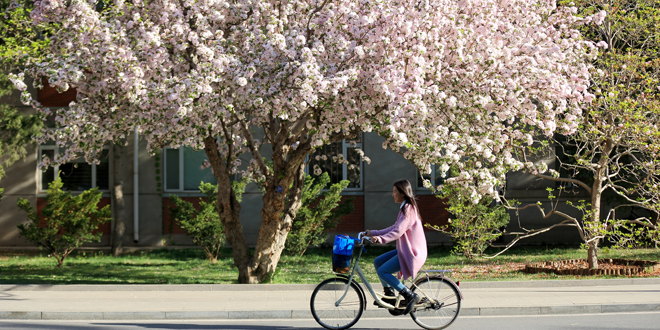 PG���ӡ�������(������Ϸ)�ٷ���վ