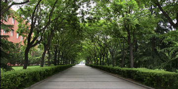 PG���ӡ�������(������Ϸ)�ٷ���վ