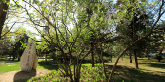 PG���ӡ�������(������Ϸ)�ٷ���վ