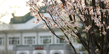 PG���ӡ�������(������Ϸ)�ٷ���վ