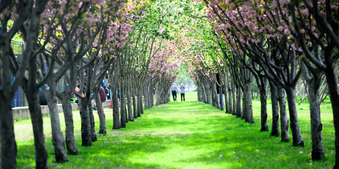 PG���ӡ�������(������Ϸ)�ٷ���վ