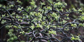 PG���ӡ�������(������Ϸ)�ٷ���վ