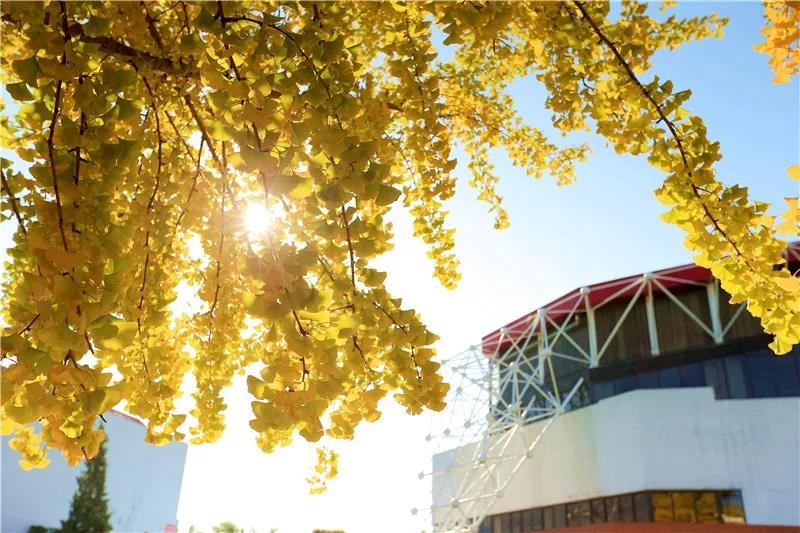 PG���ӡ�������(������Ϸ)�ٷ���վ