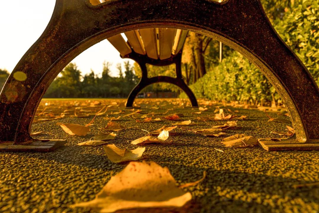 PG���ӡ�������(������Ϸ)�ٷ���վ