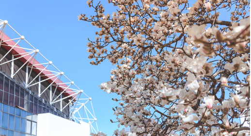 PG���ӡ�������(������Ϸ)�ٷ���վ