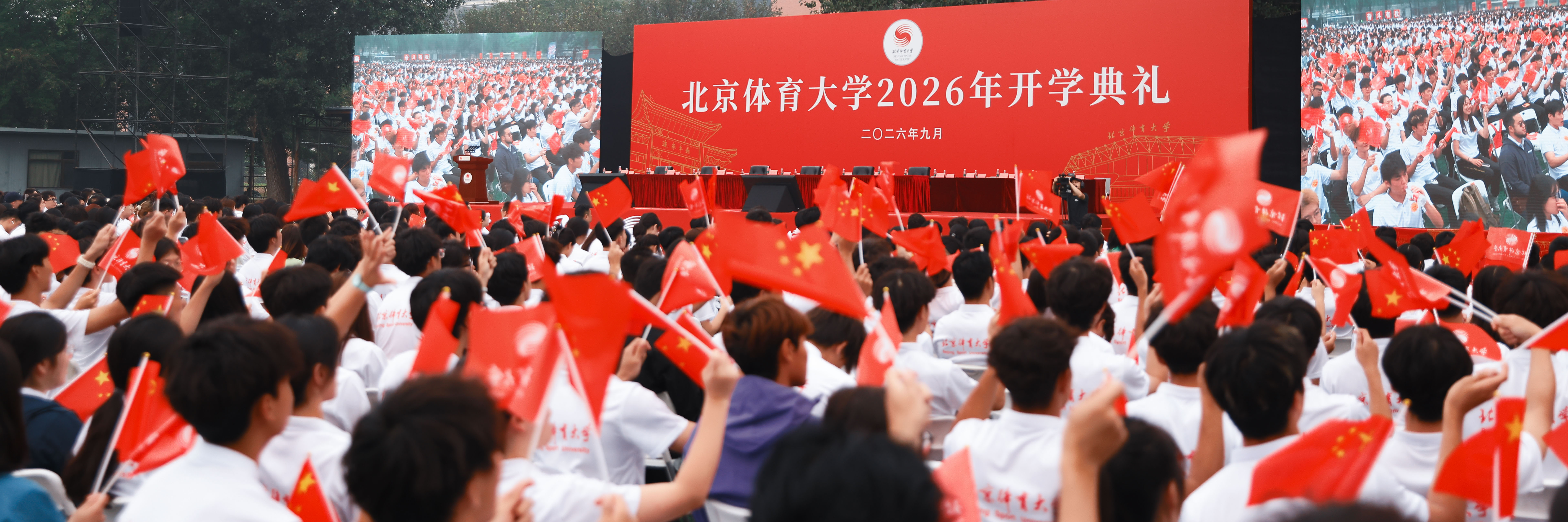 8f86b7510a4a4ff1a76666eb0df856e5